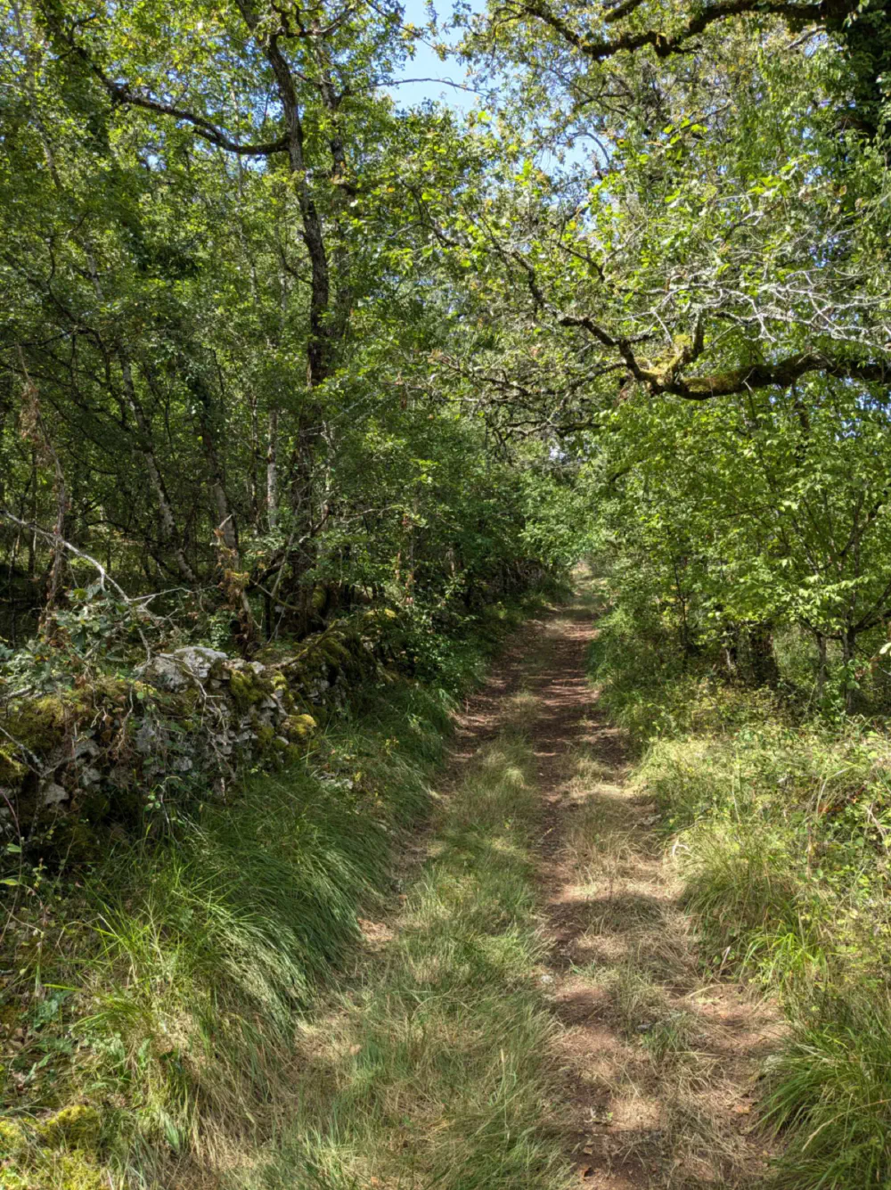 An image of this adventure