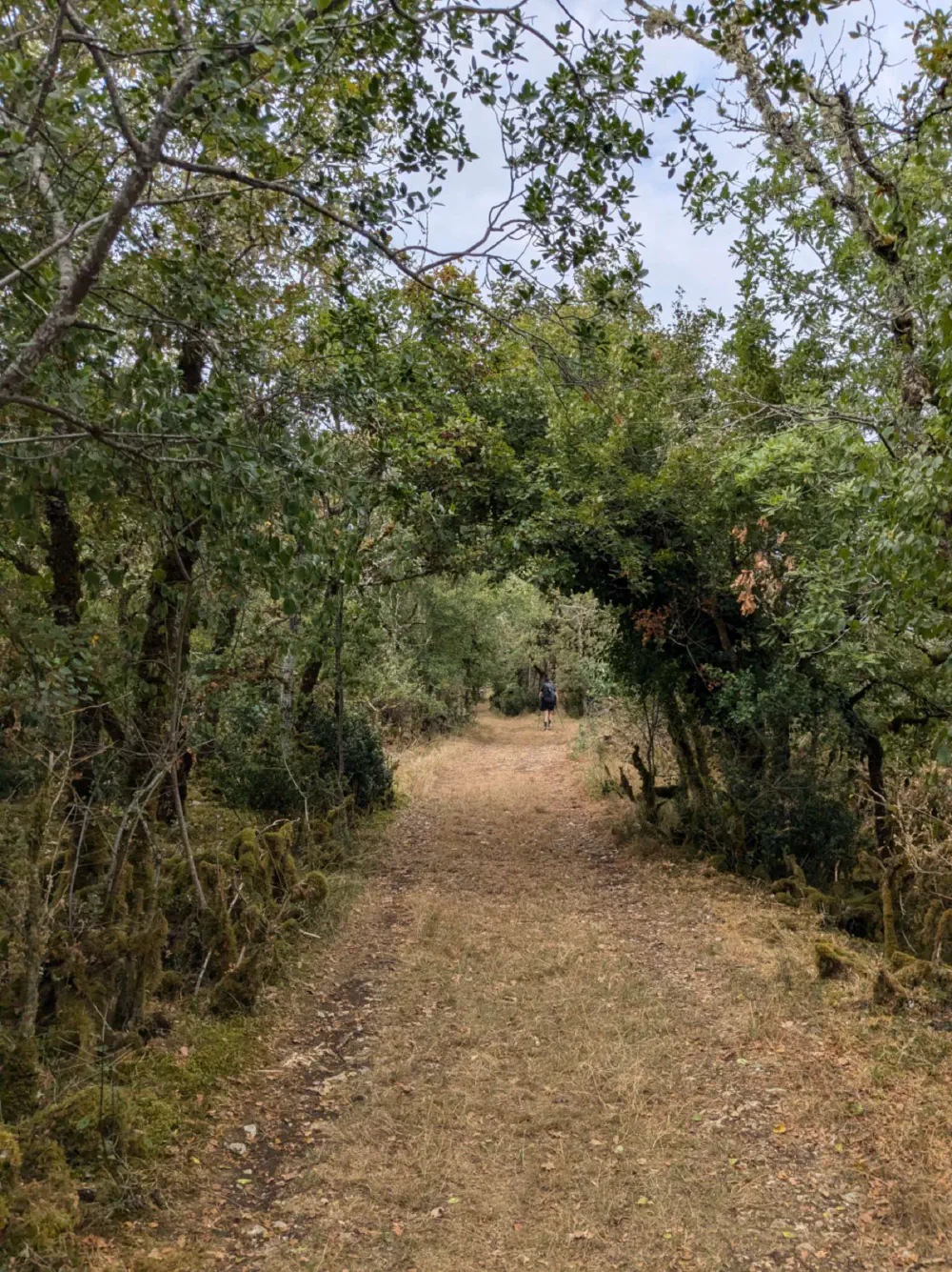 An image of this adventure