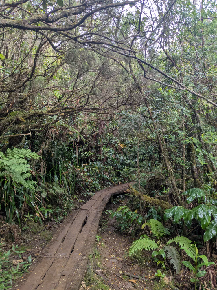 A la conquête de la Roche Écrite