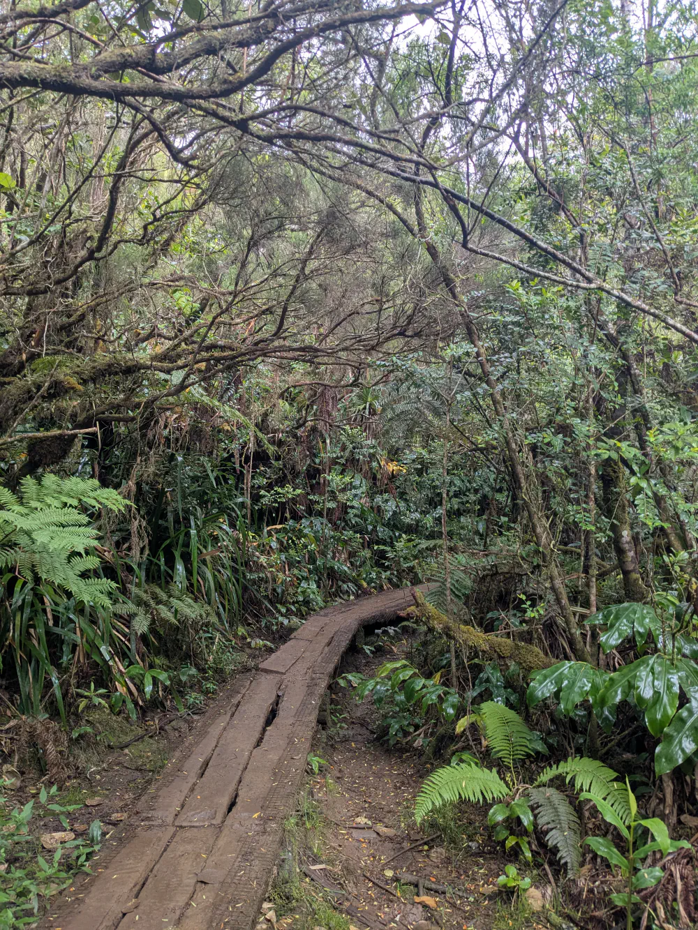 An image of this adventure