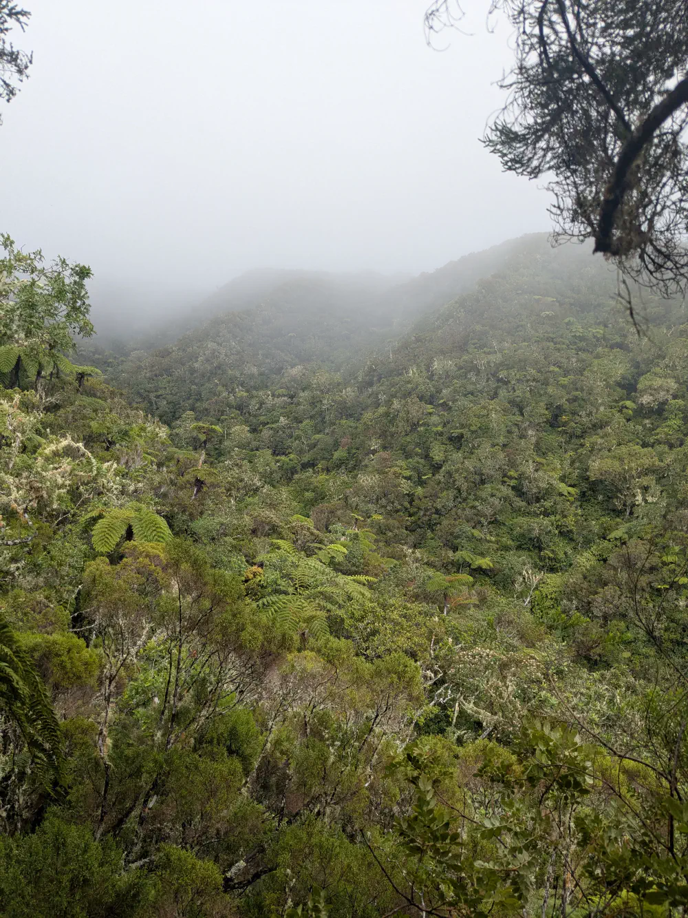 An image of this adventure