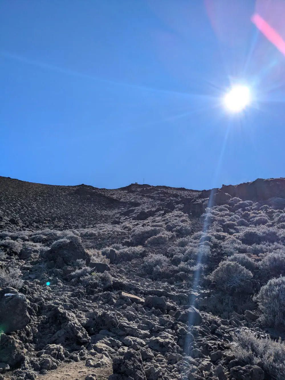 An image of this adventure