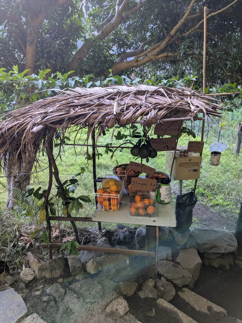 An image of this adventure