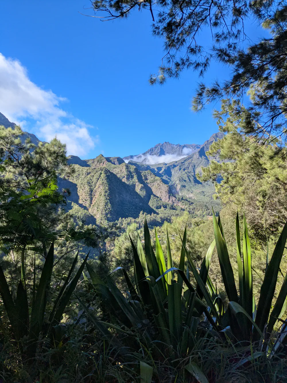 An image of this adventure