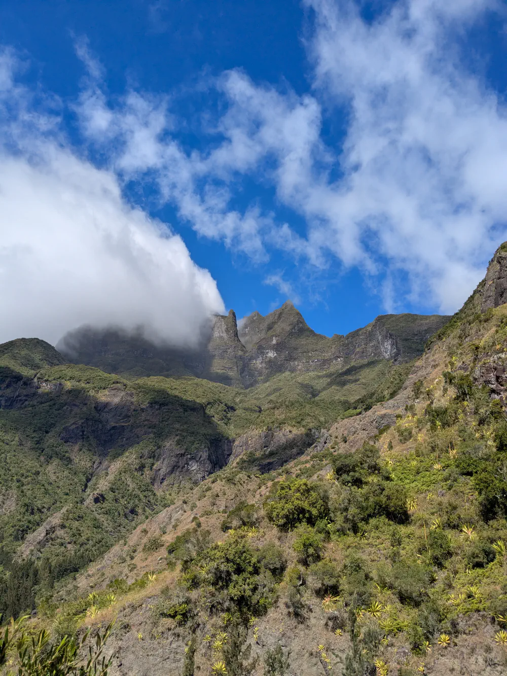 An image of this adventure