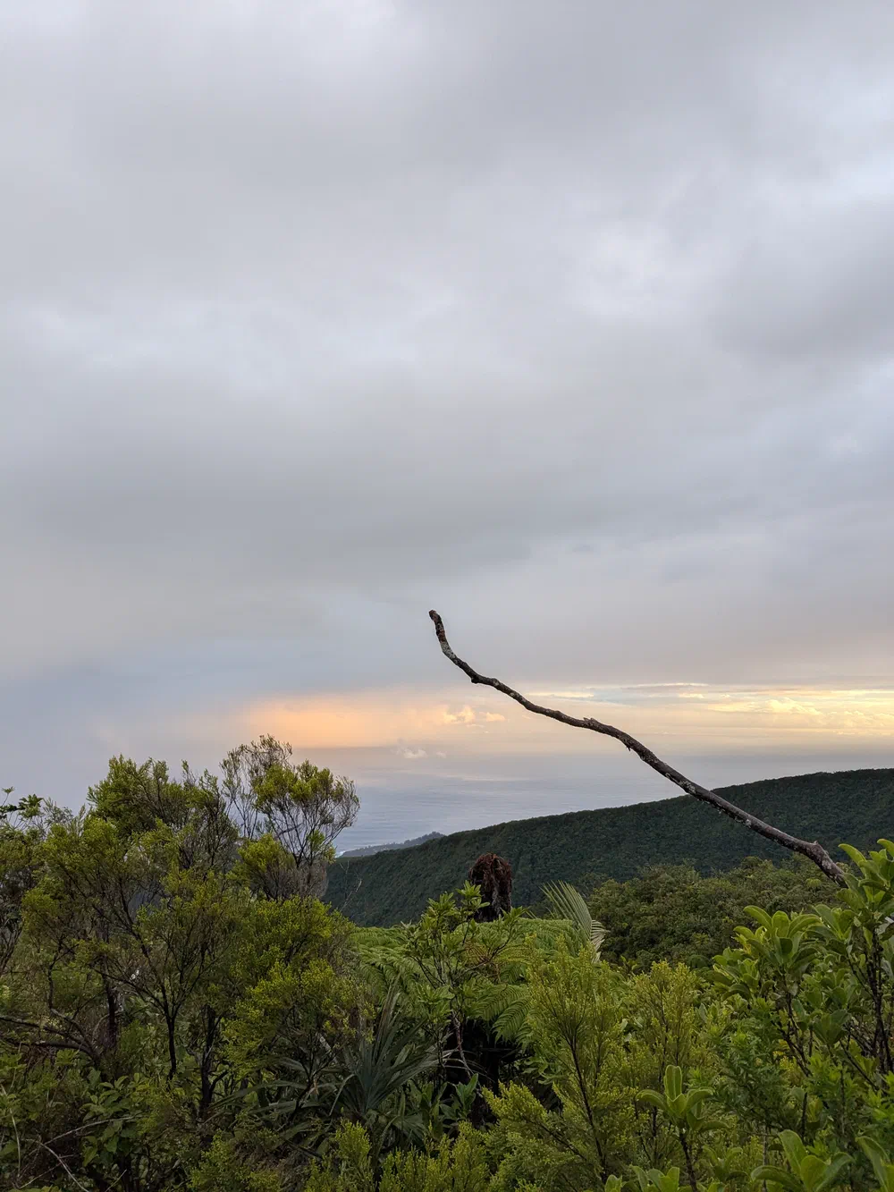 an image from this adventure