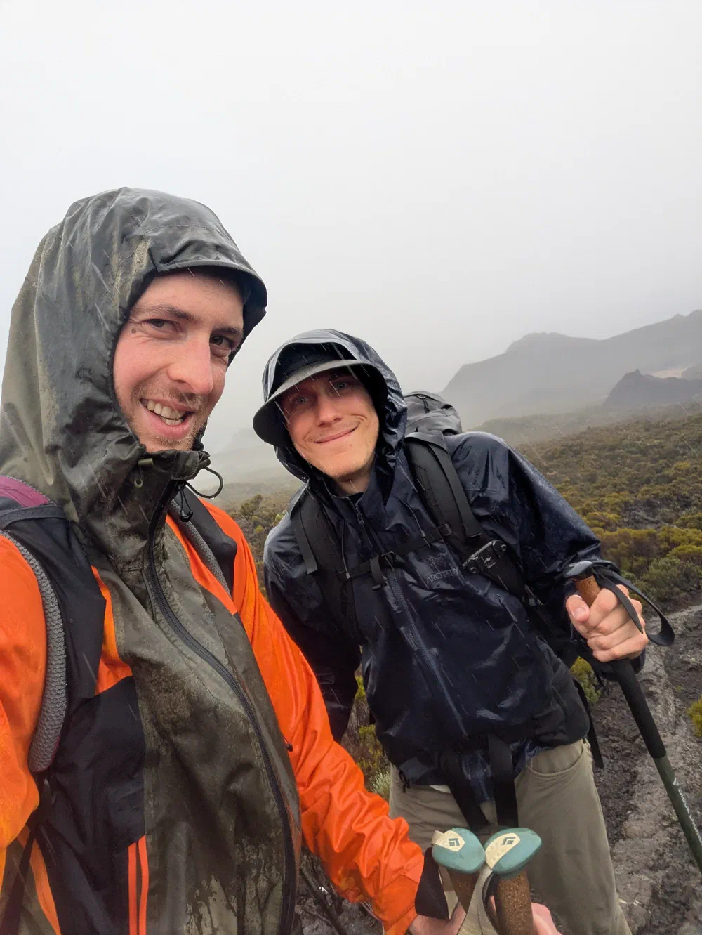 an image from this adventure