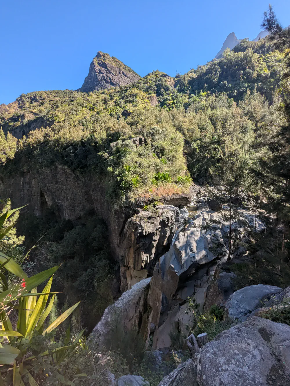 An image of this adventure