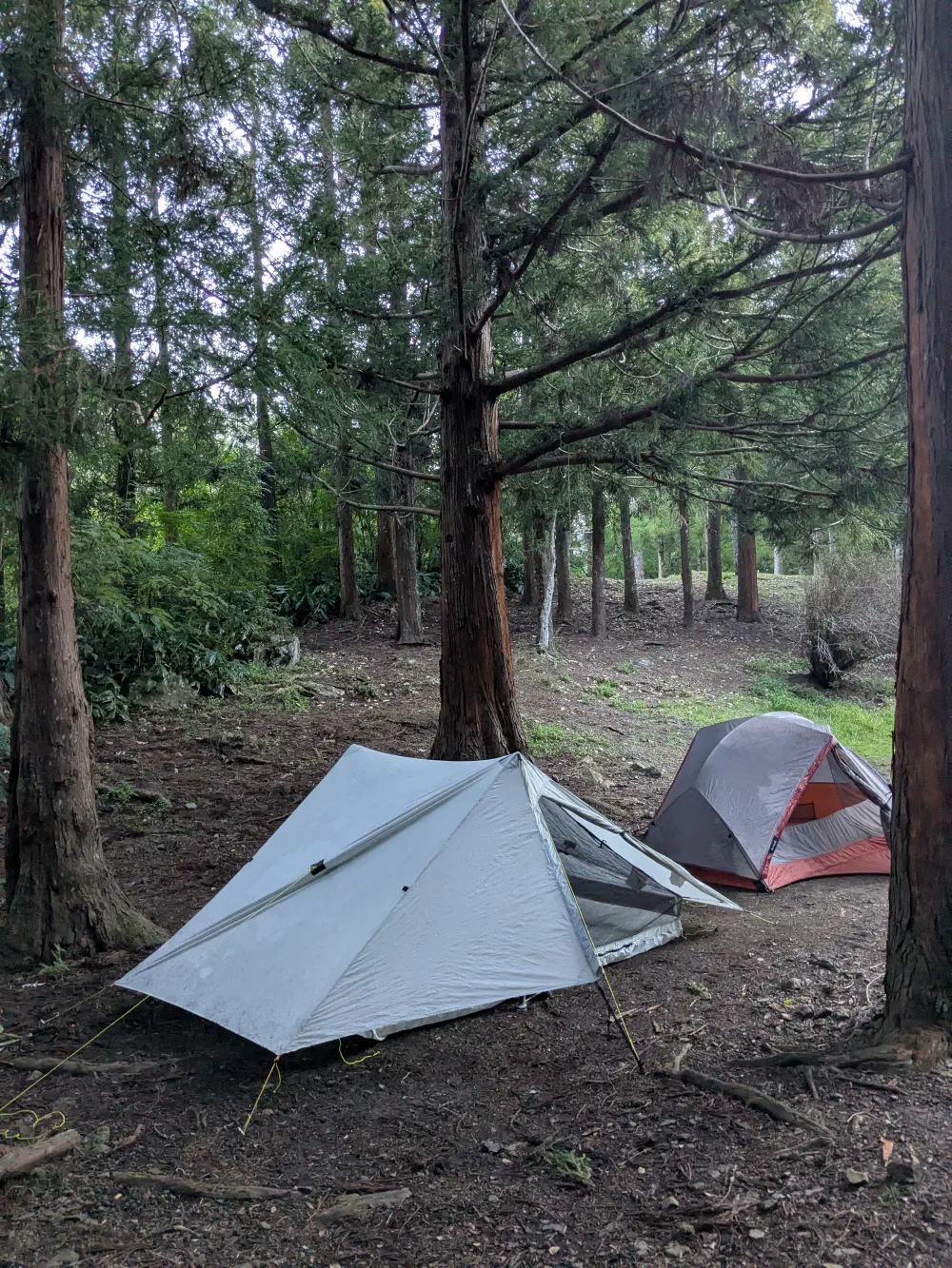 An image of this adventure