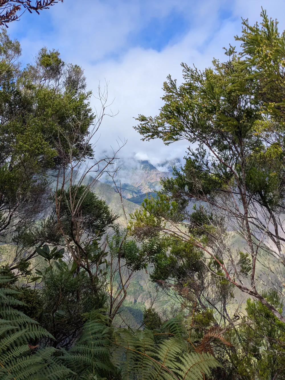 An image of this adventure