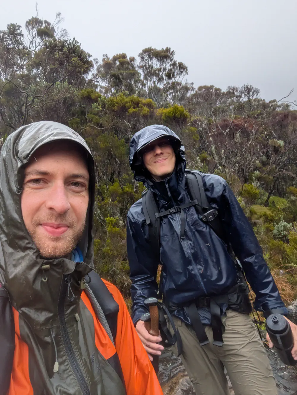 An image of this adventure