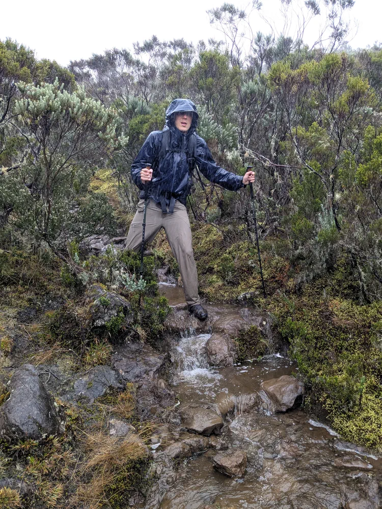 Soaked Through (Like Chayote Soup)