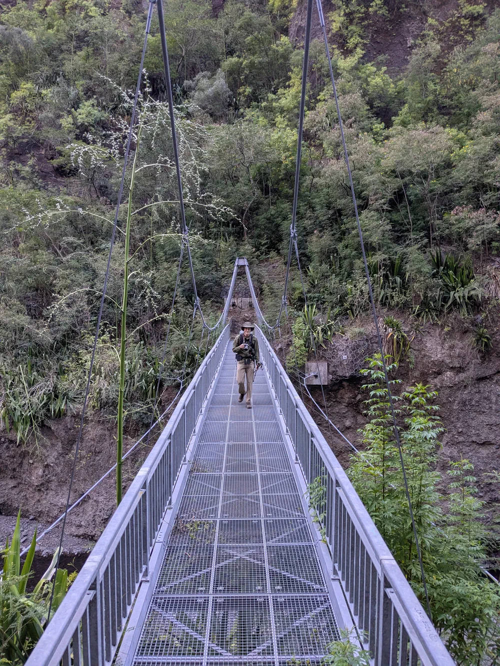 An image of this adventure