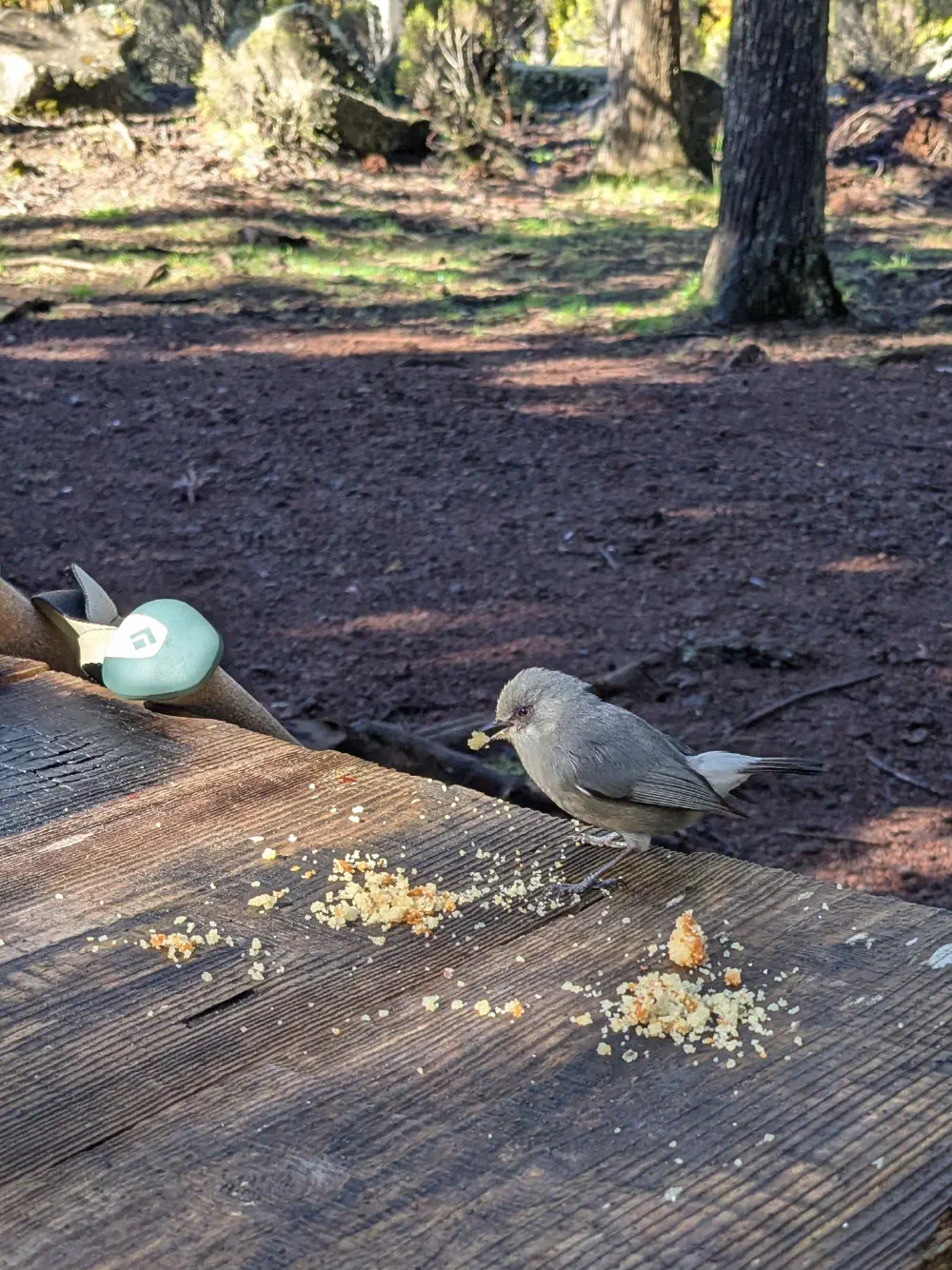 An image of this adventure