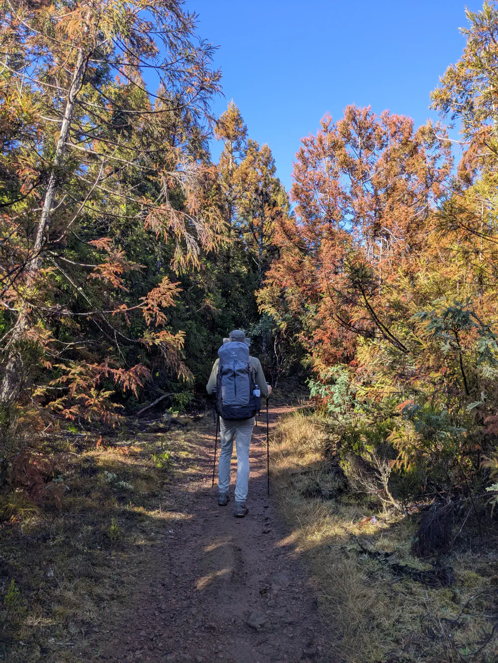 An image of this adventure