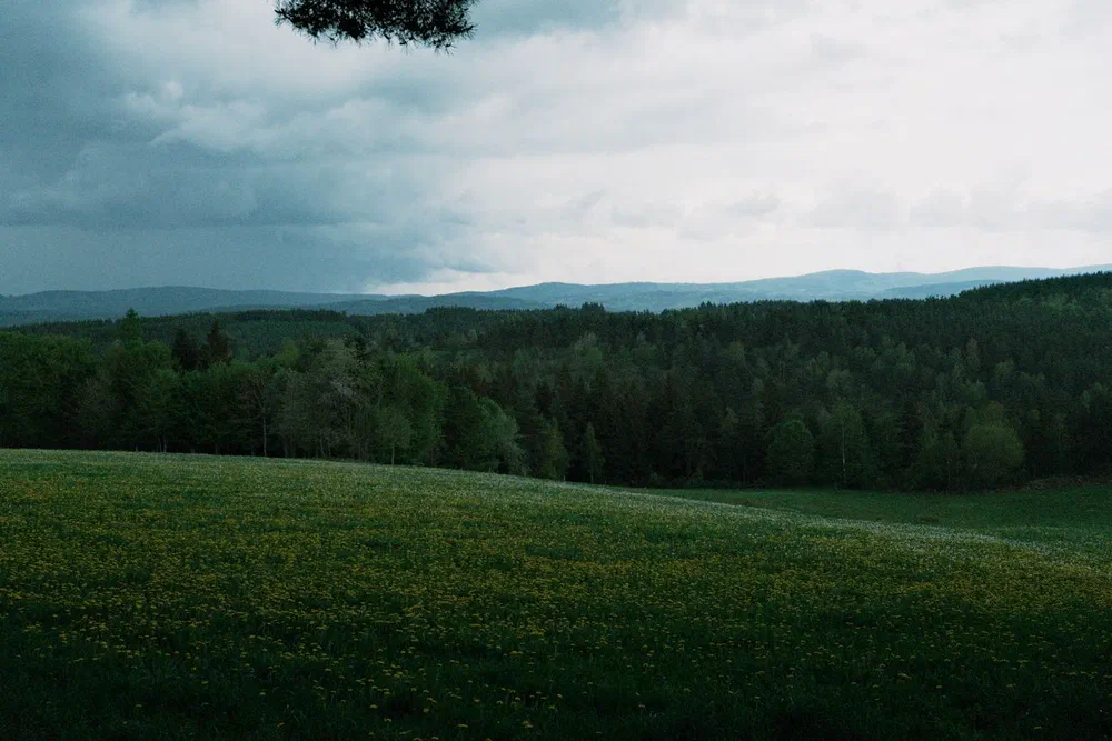 an image from this adventure
