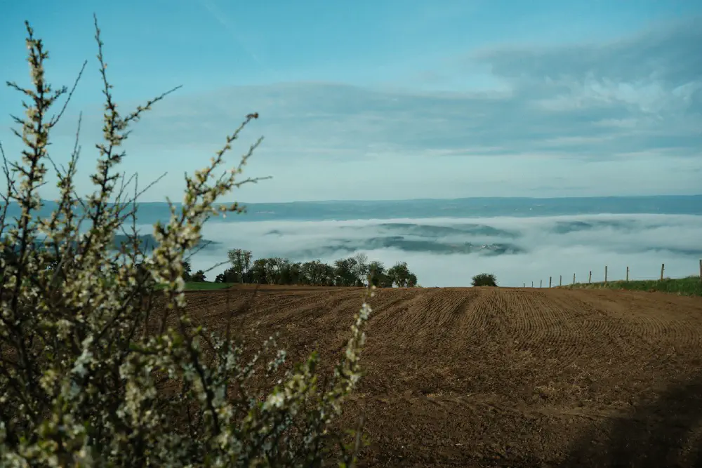 An image of this adventure