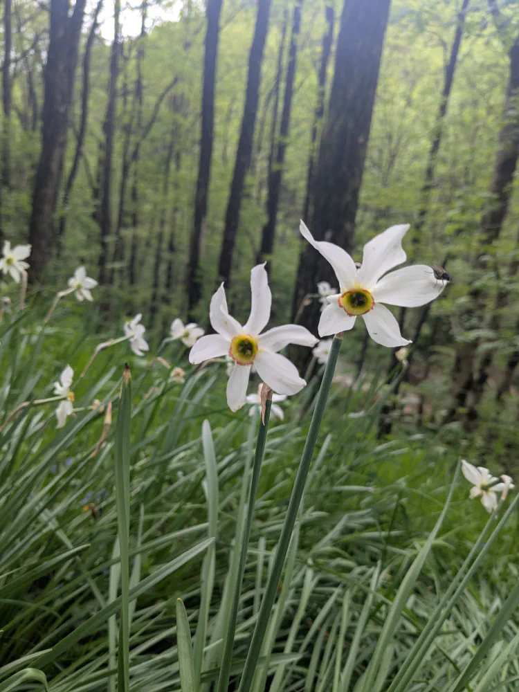 De Florac à Saint-Germain-de-Calberte