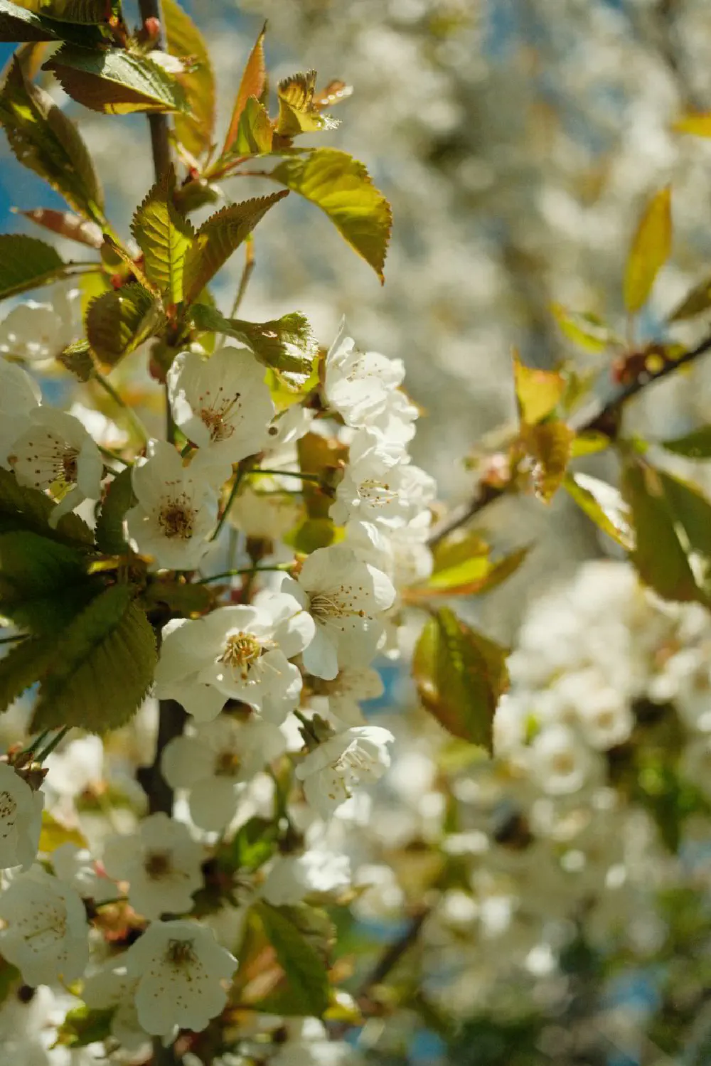 An image of this adventure