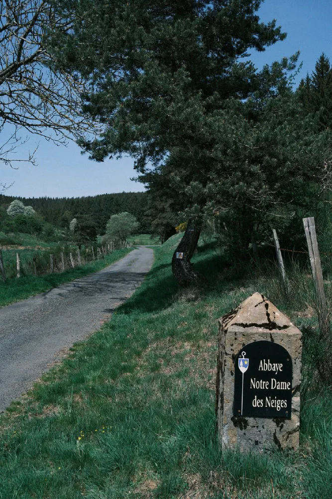 De Luc à Notre-Dame-des-Neiges