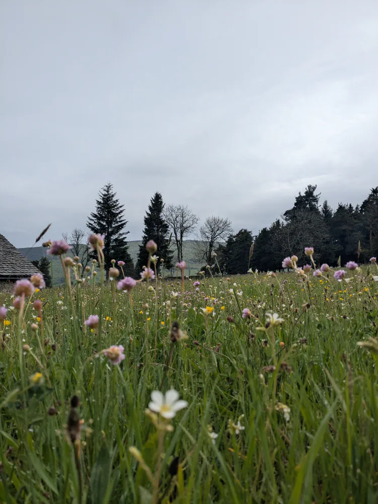 De Notre-Dame-des-Neiges à Chasseradès