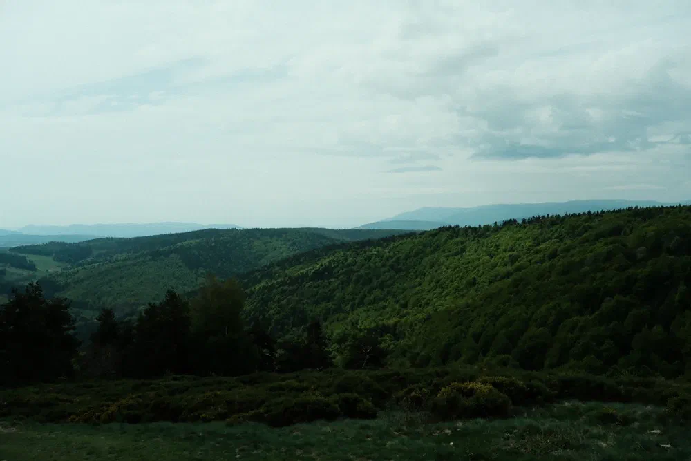 an image from this adventure