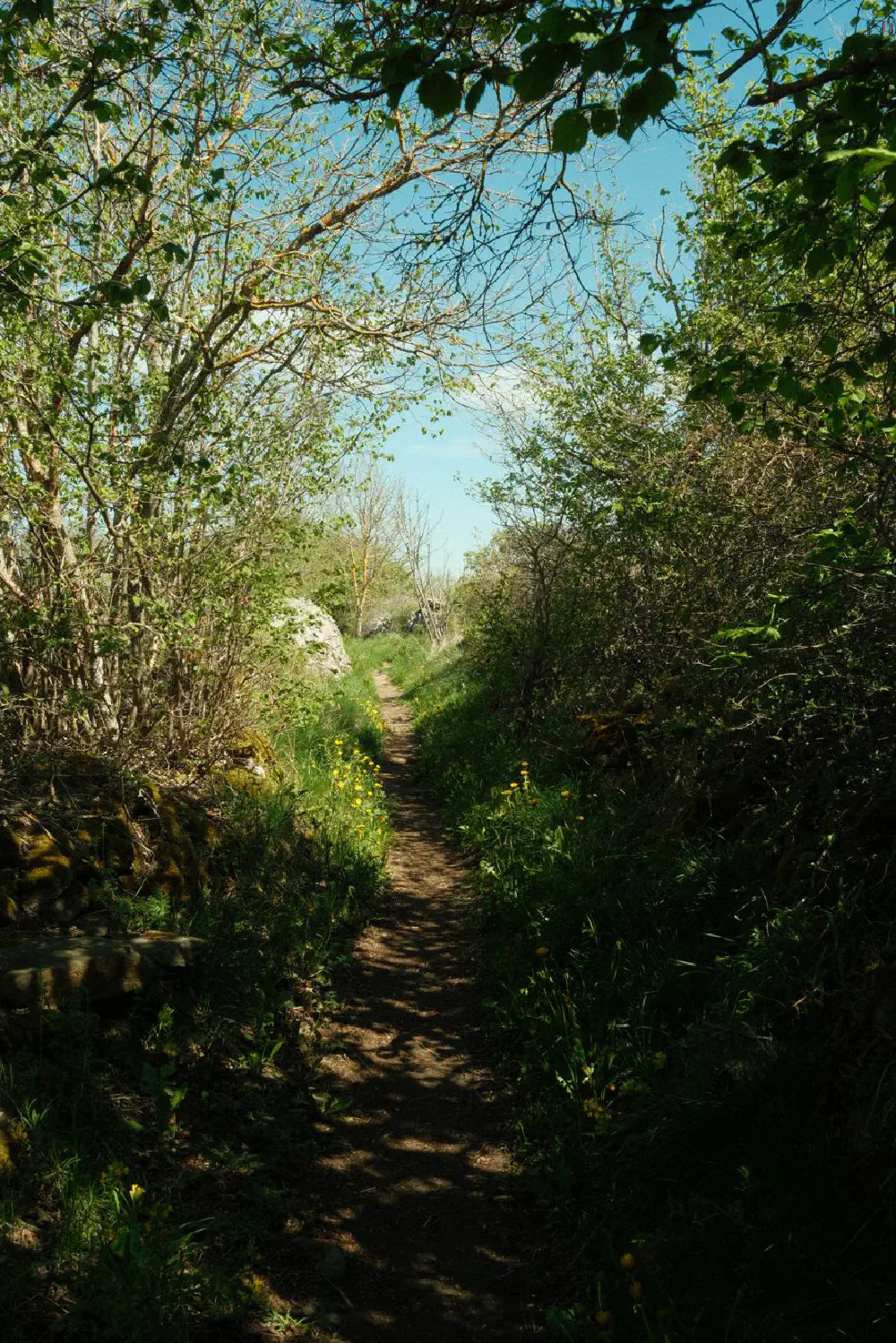 An image of this adventure