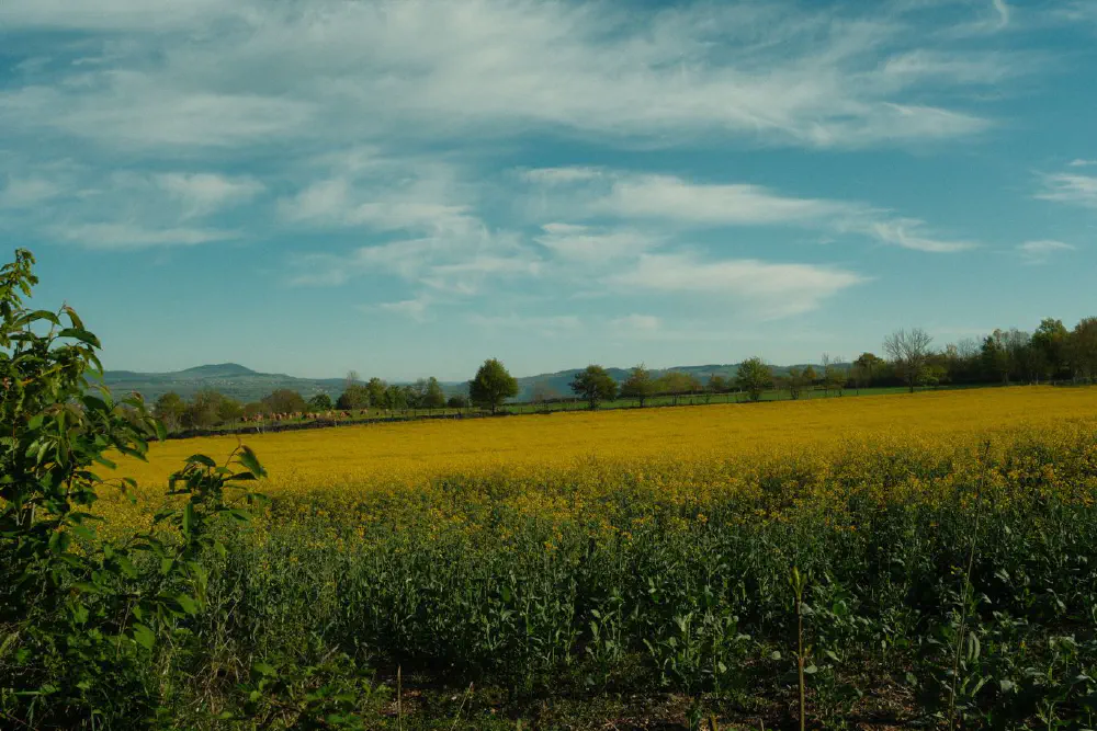 An image of this adventure