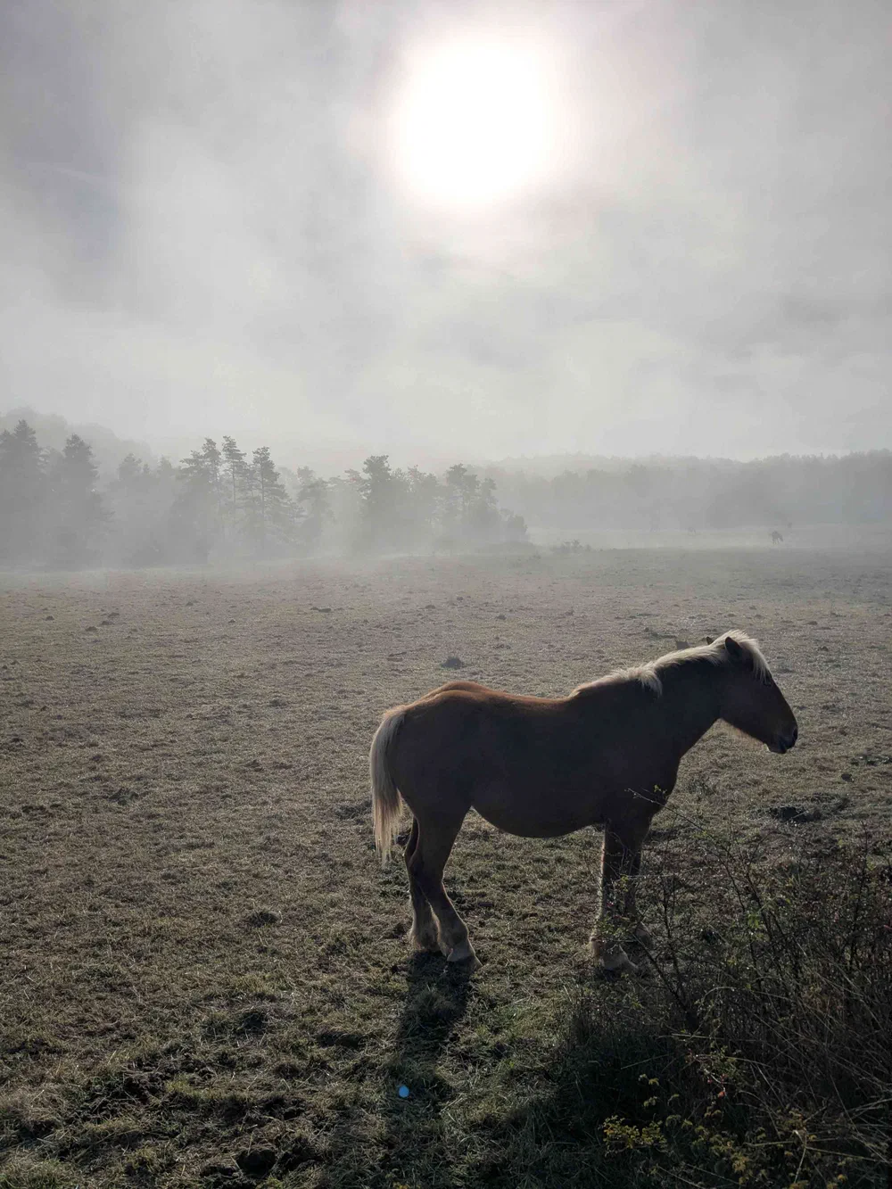 An image of this adventure