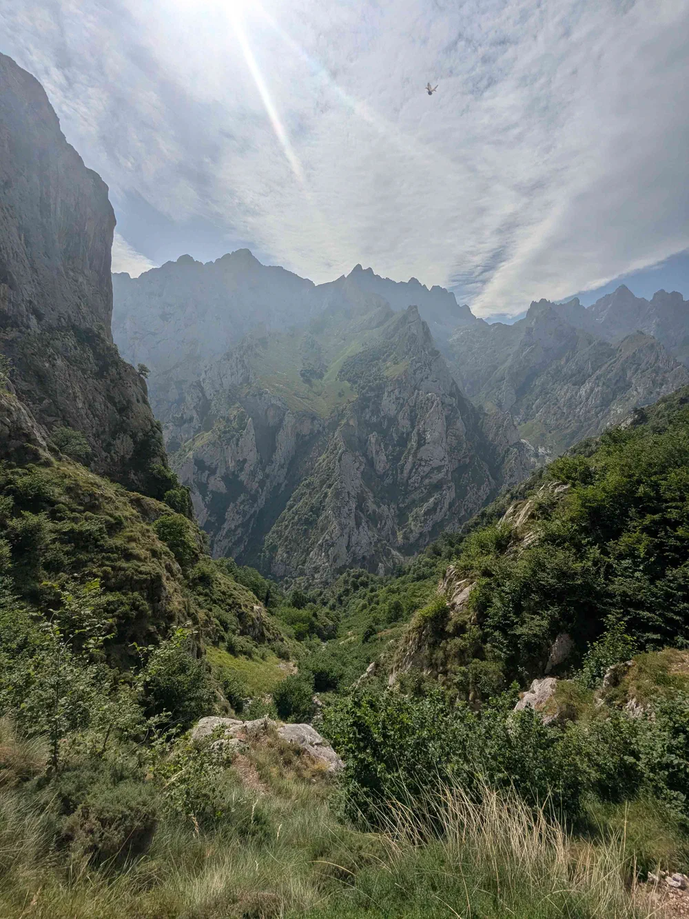 An image of this adventure