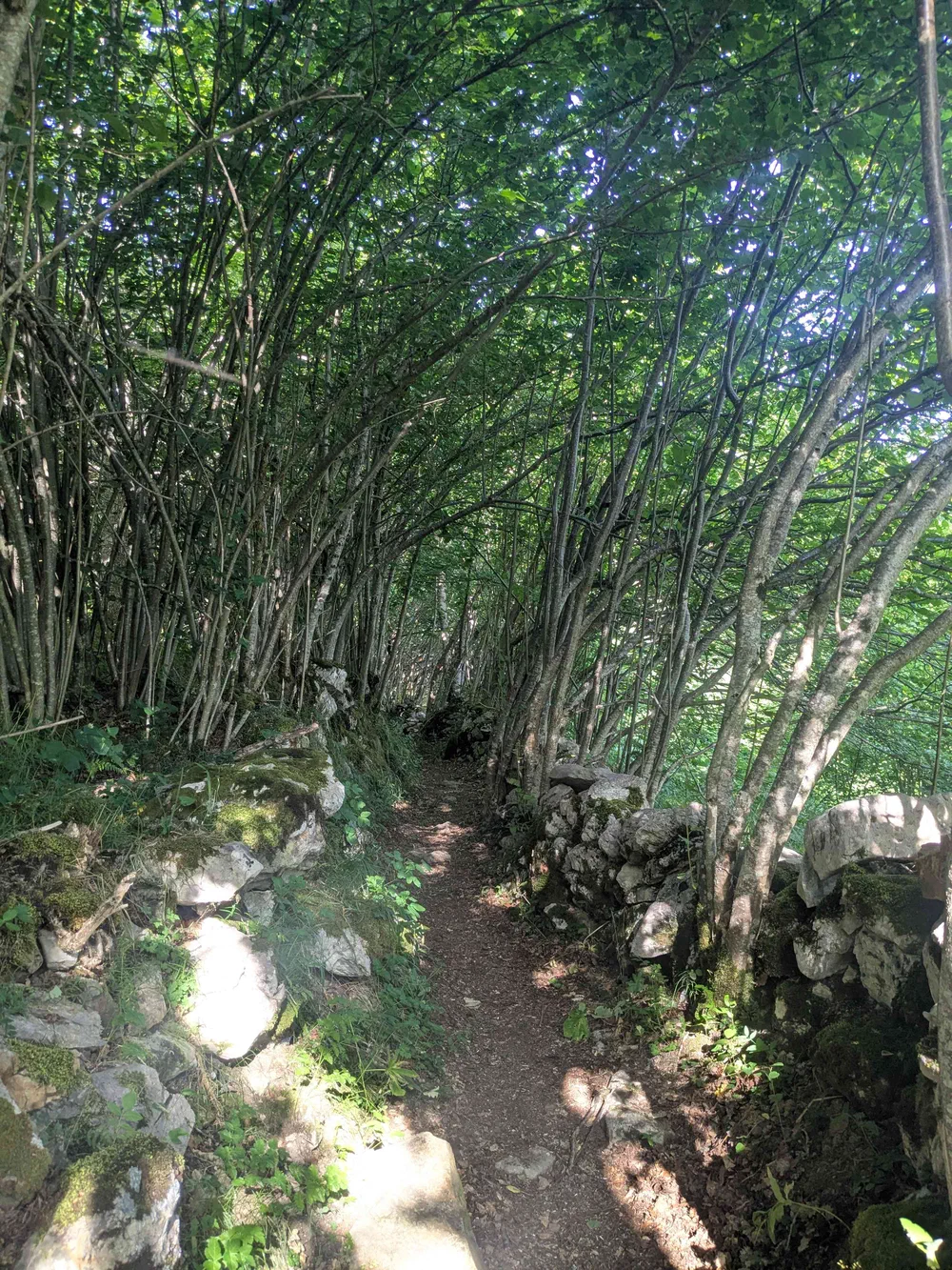 an image from this adventure