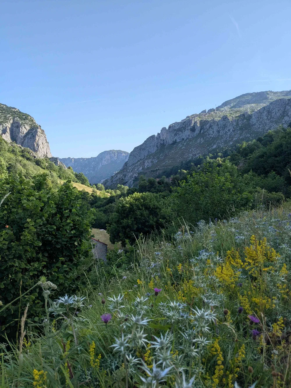 an image from this adventure