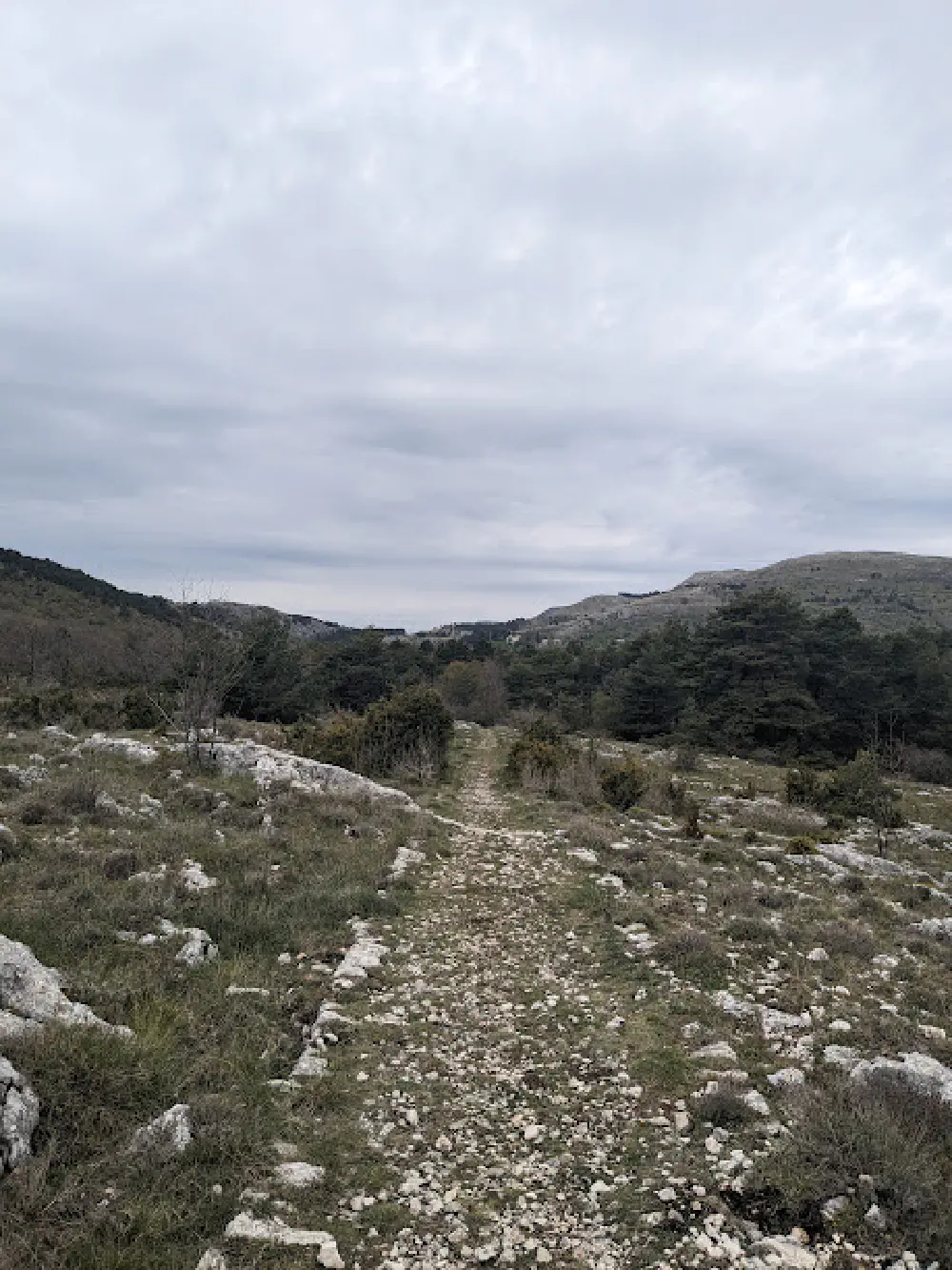 An image of this adventure