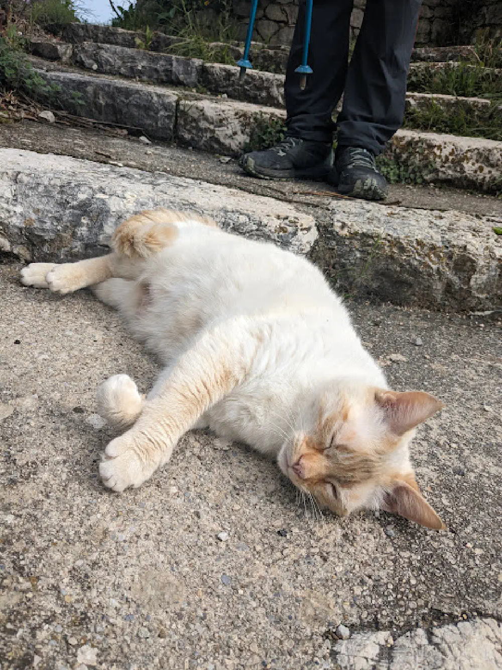 An image of this adventure