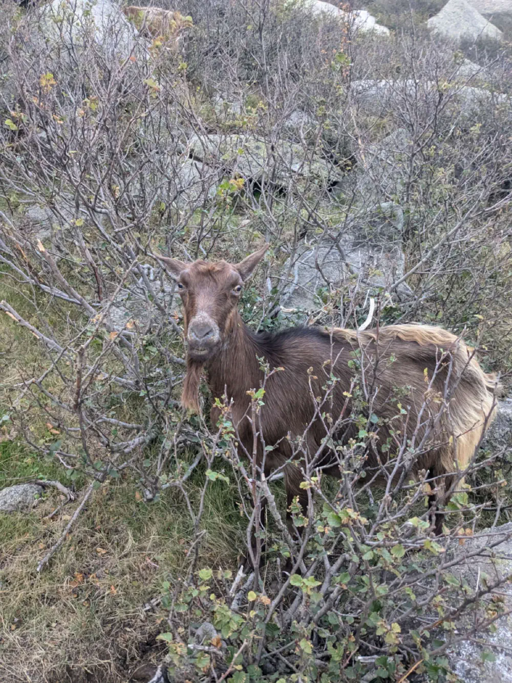 An image of this adventure