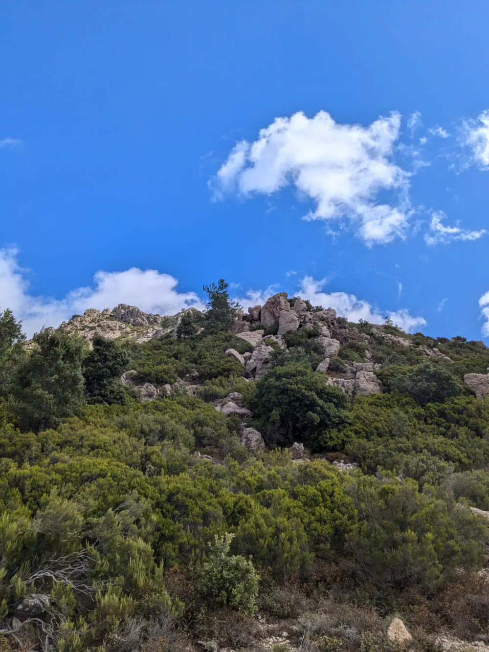 An image of this adventure