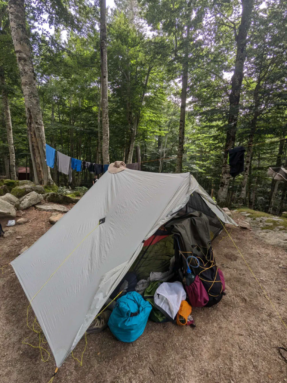 An image of this adventure