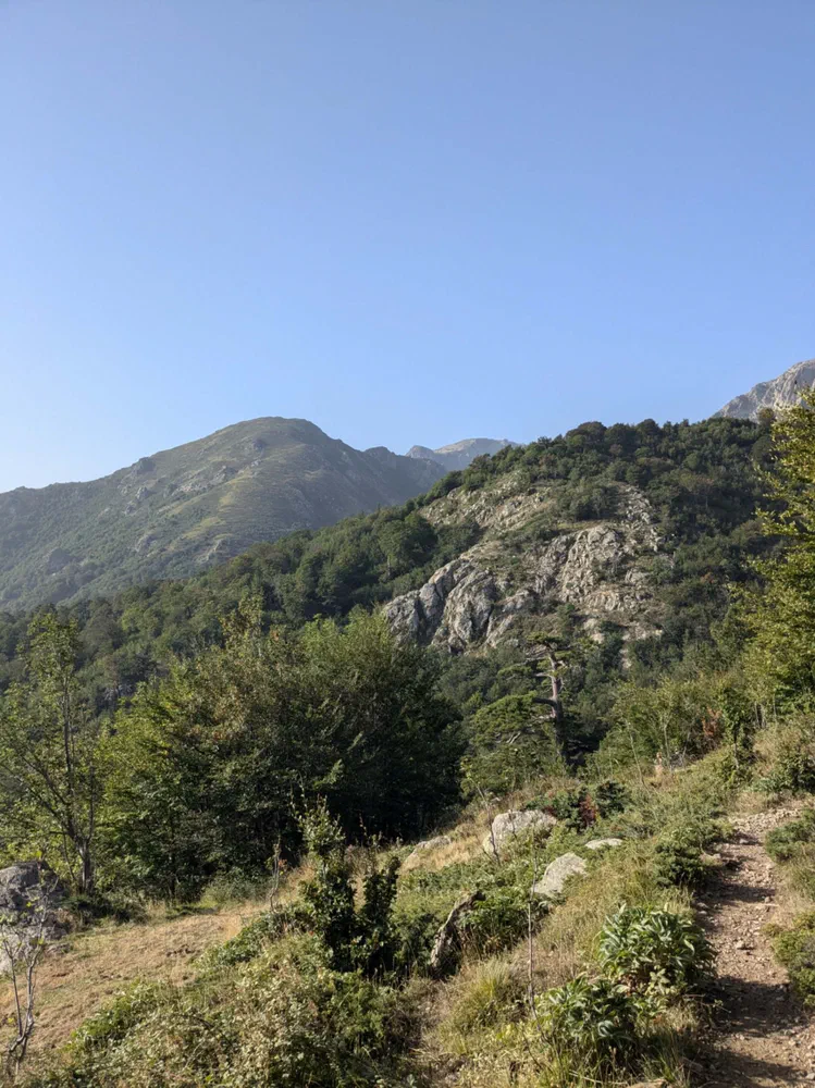 Vizzavona - Col de Verde