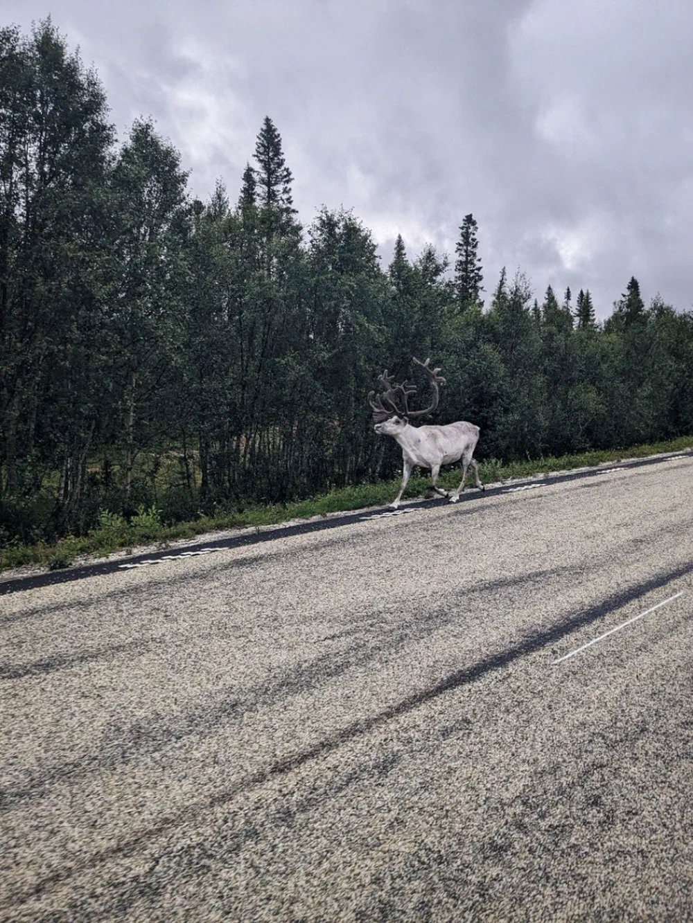 An image of this adventure