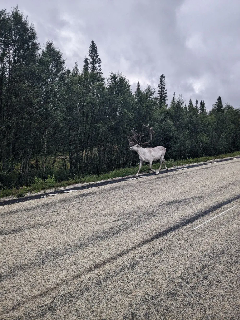 An image of this adventure