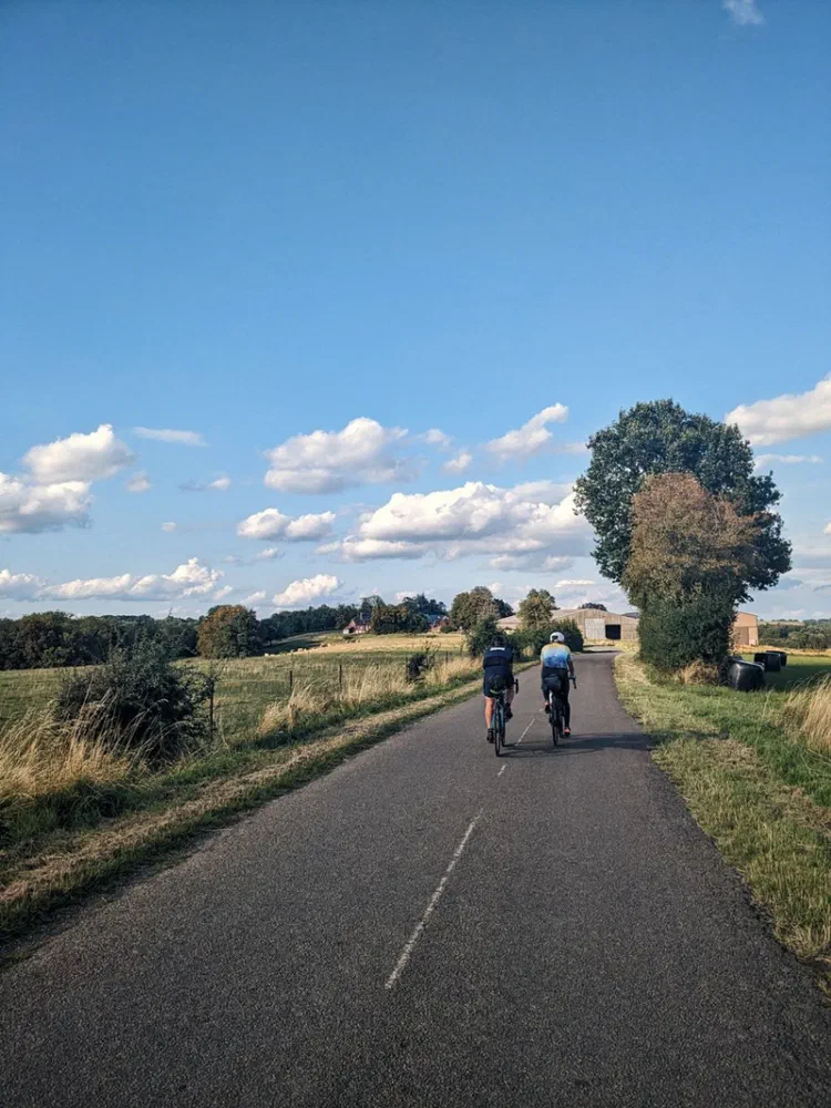 The race for the frite