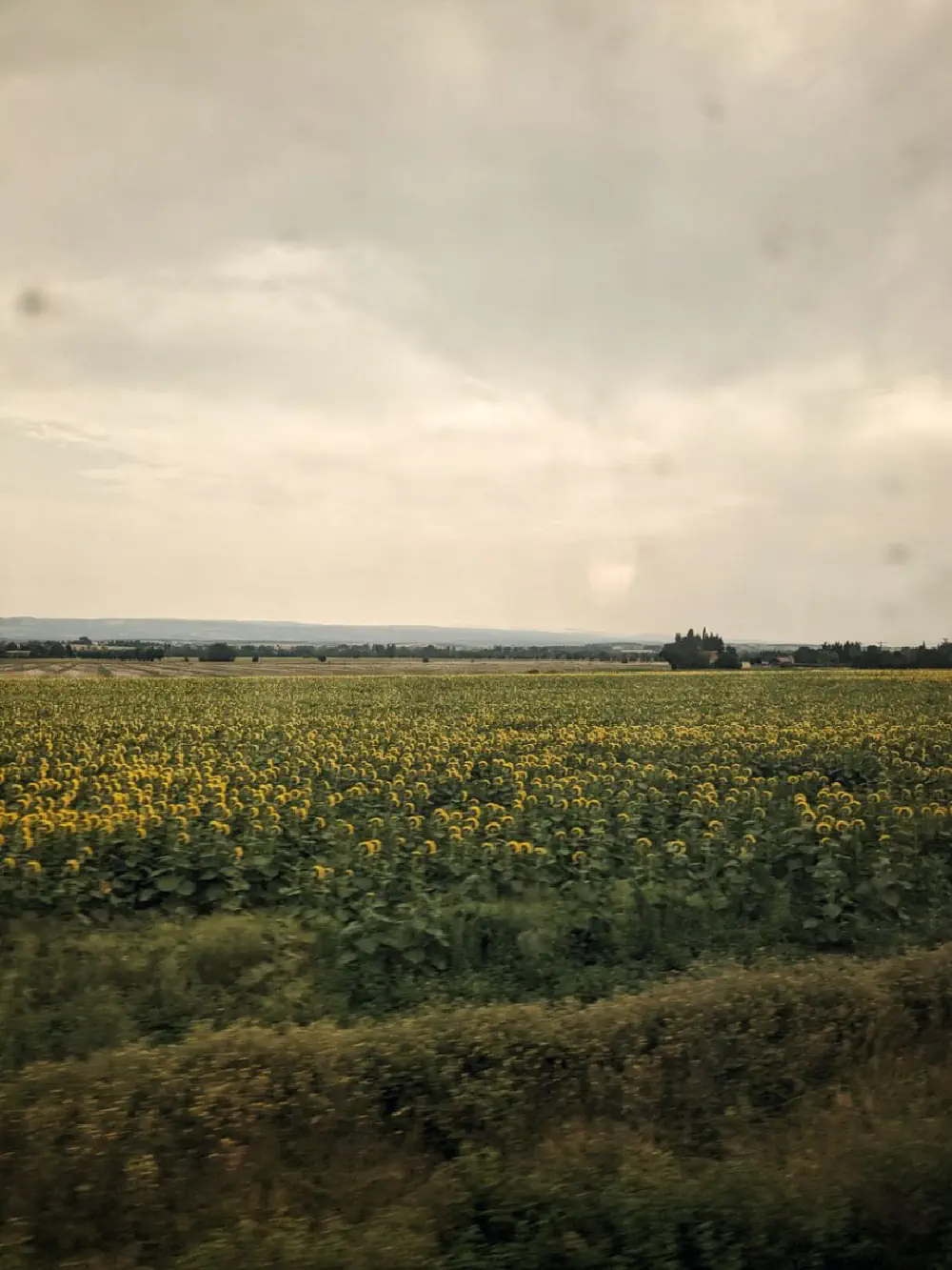 An image of this adventure