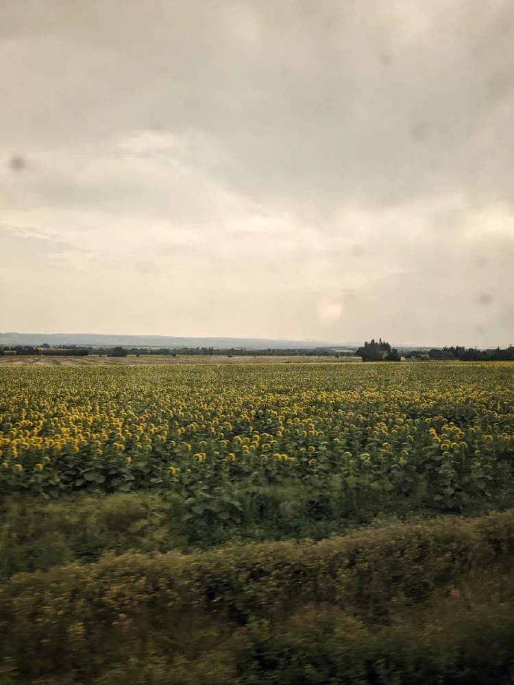 L'appel du Grand Nord