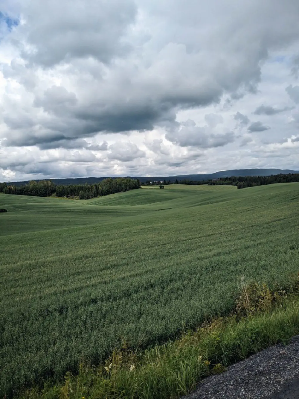 An image of this adventure