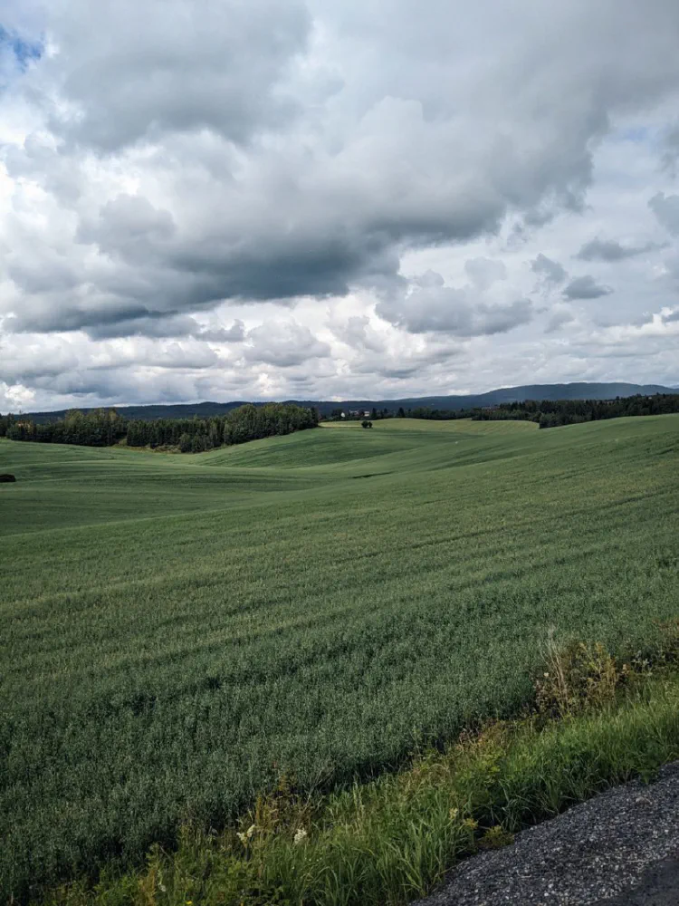 Retour vers la Norvège
