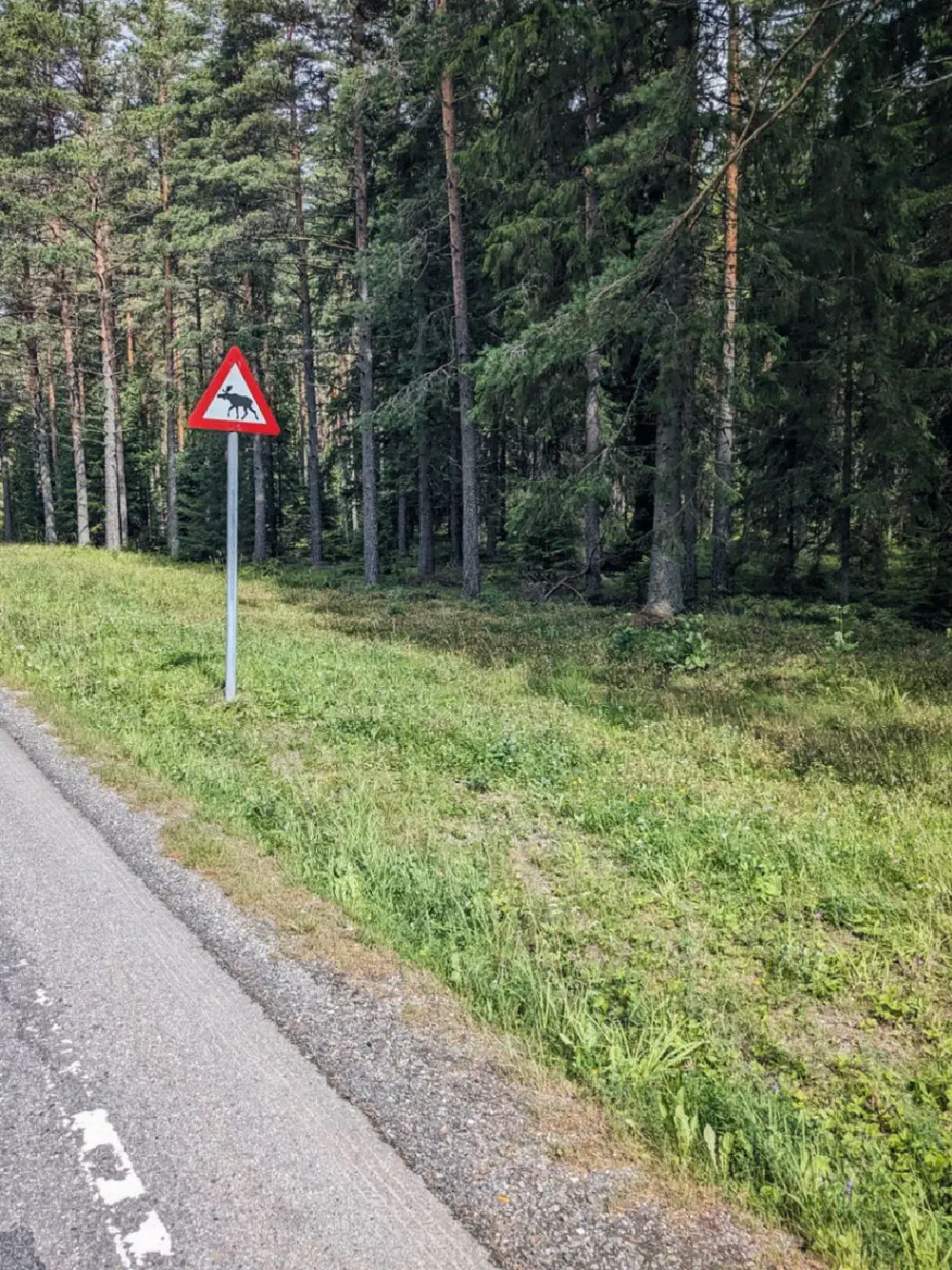 An image of this adventure