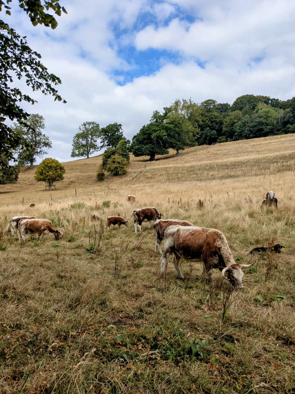 An image of this adventure