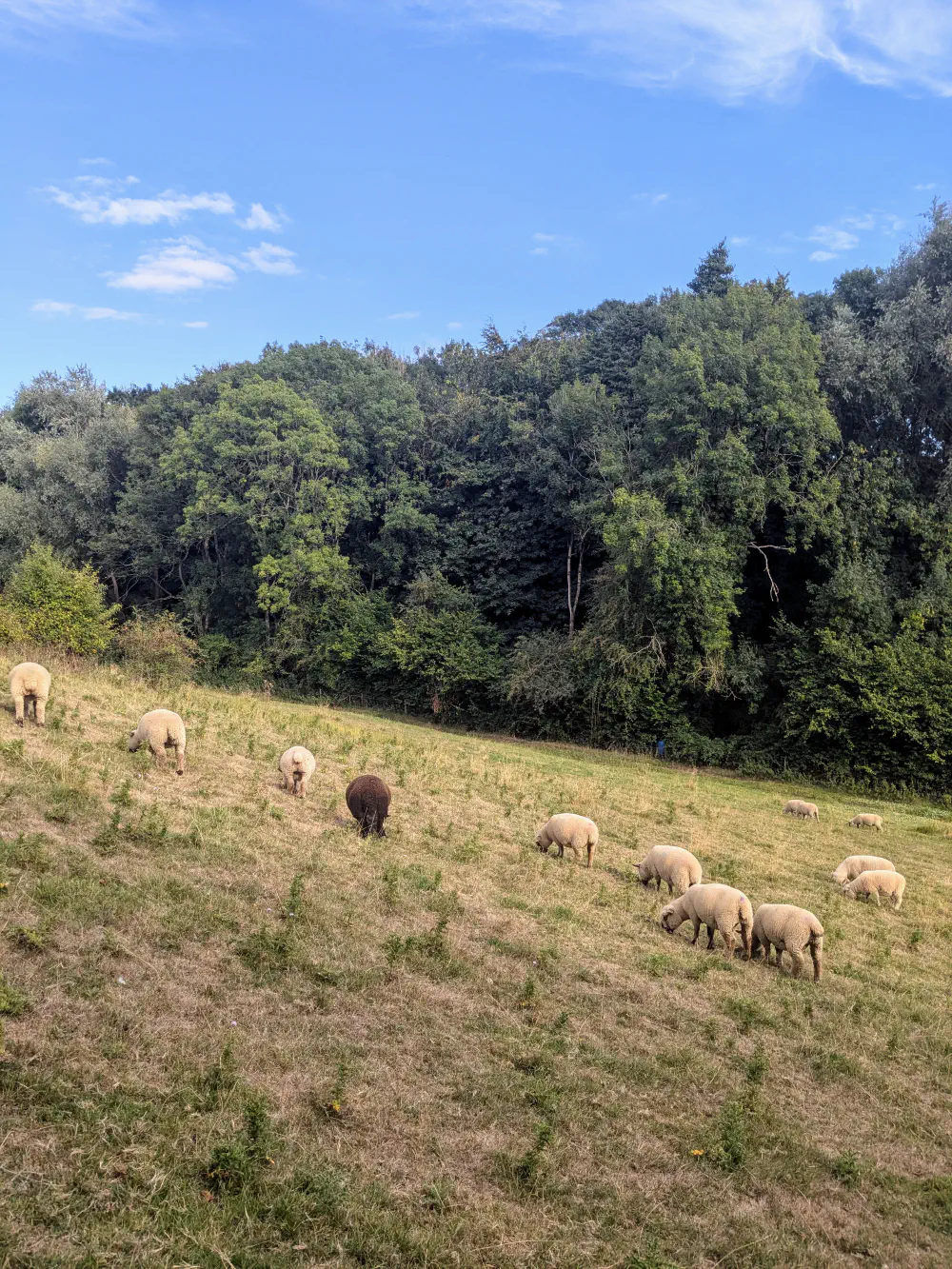 An image of this adventure