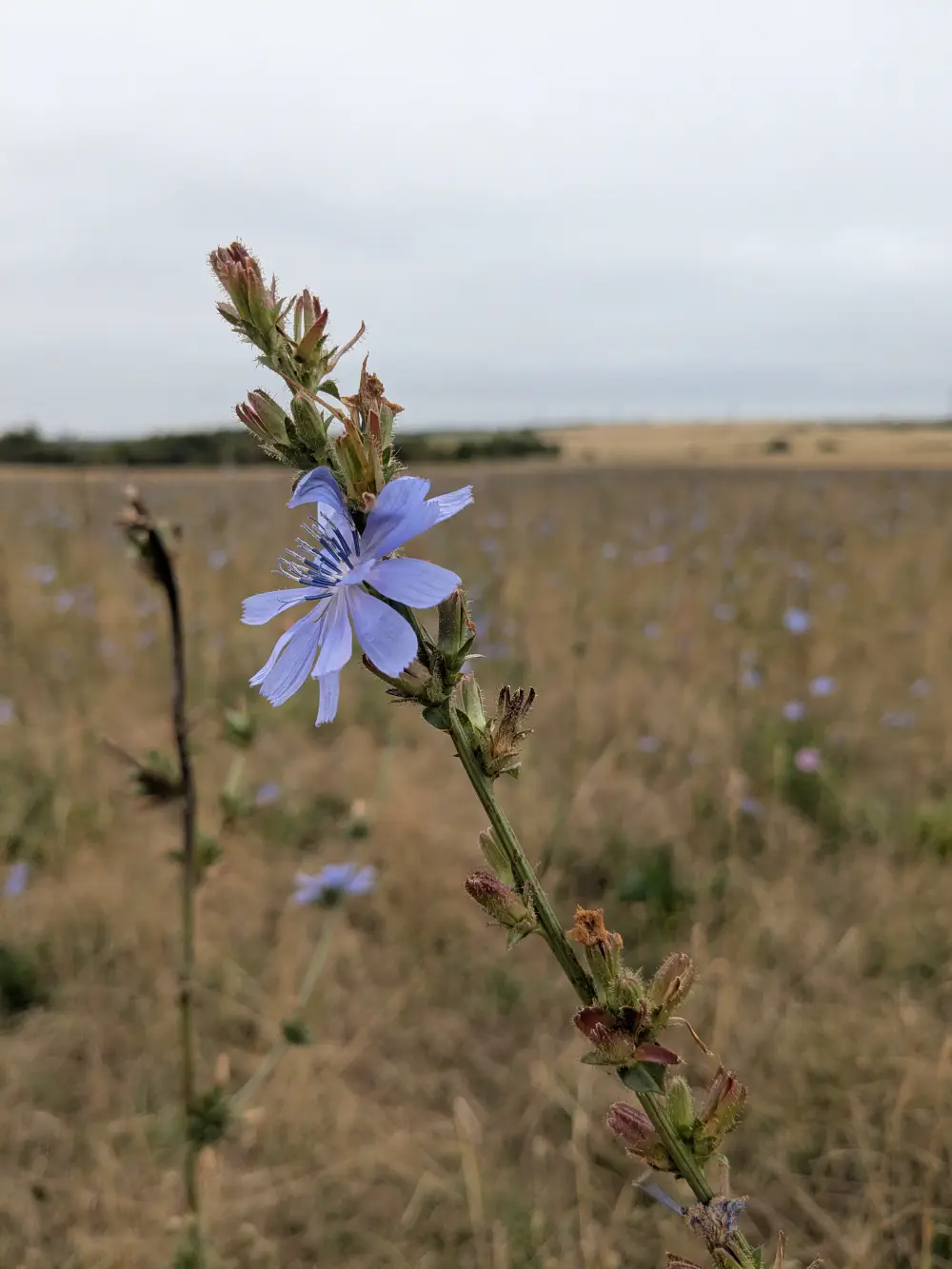 An image of this adventure