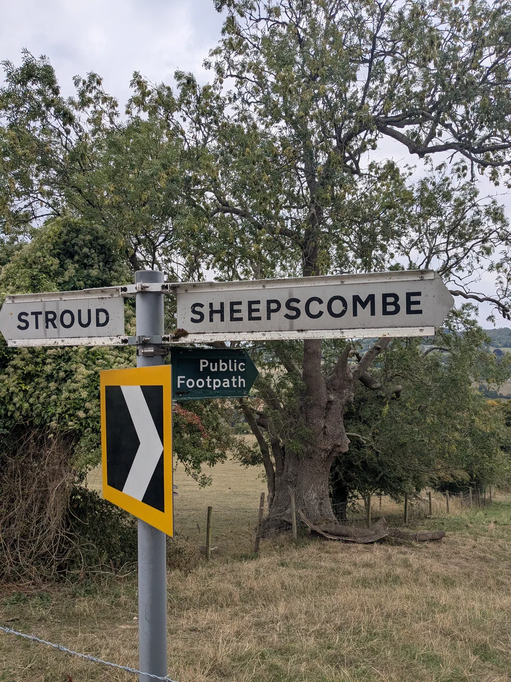 an image from this adventure